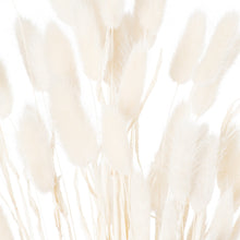 Load image into Gallery viewer, Dried Bunny Tails | White
